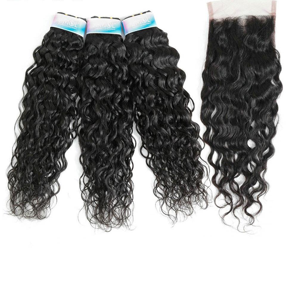 Indian Water Wave Human Hair Bundle with Closure Free Part