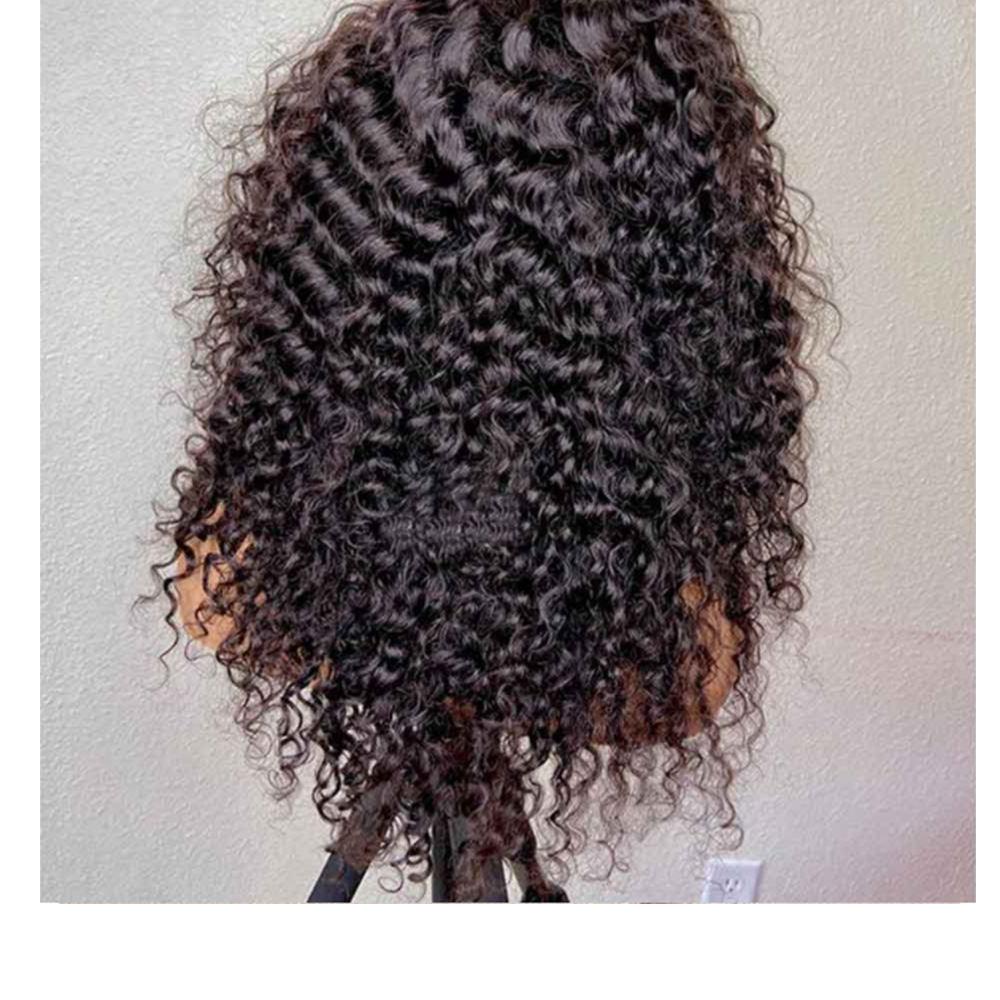 Full Lace Wig Curly Human Hair Wig 360 Lace Frontal Wig Human Hair Brazilian Hair Wigs Wigs For Women Pre Plucked Bleached Knots