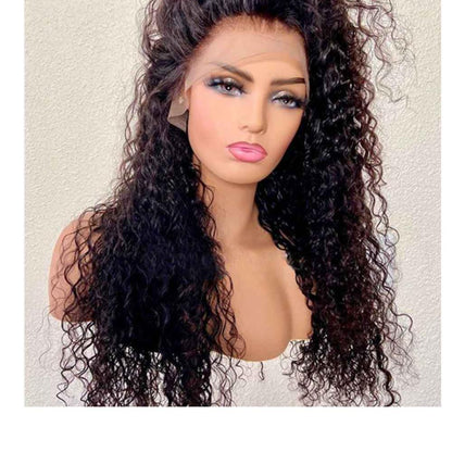 Pre Plucked Bleached Knots Curly Full Lace Human Hair Wig 360 Lace Frontal Wig